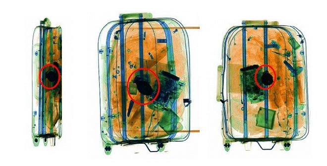 В России объявили о создании интроскопа с алгоритмами искусственного интеллекта