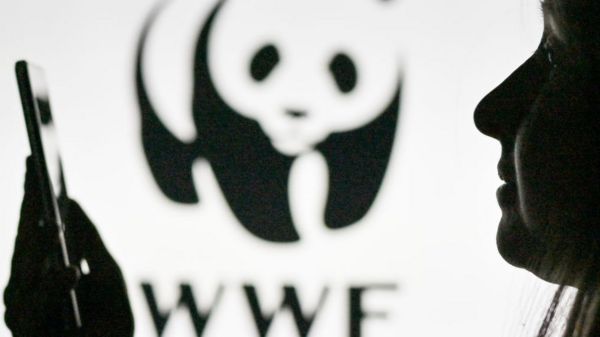WWF вслед за Greenpeace объявили нежелательным в России. Хотя раньше власти с ним сотрудничали