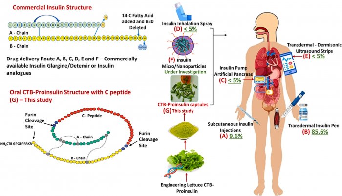 Инсулин можно выращивать внутри растений и принимать как пищу