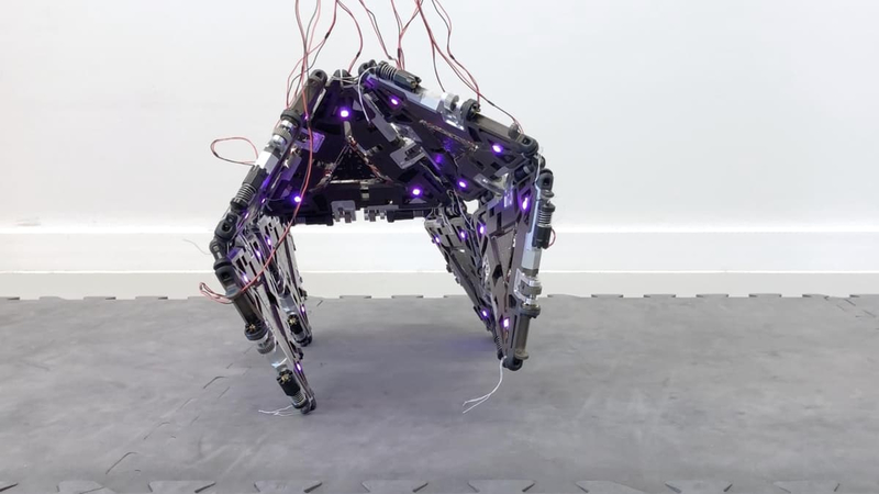 Новый уровень робототехники: модульные роботы Mori3 Polygon