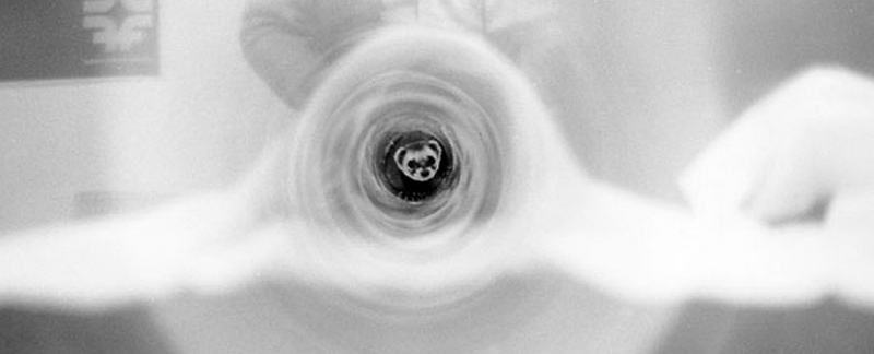 Гениальное решение - использовать хорька для очистки ускорителя частиц