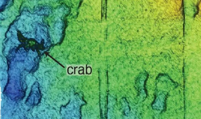 Новая детальная карта океанского дна позволяет разглядеть даже отдельных крабов