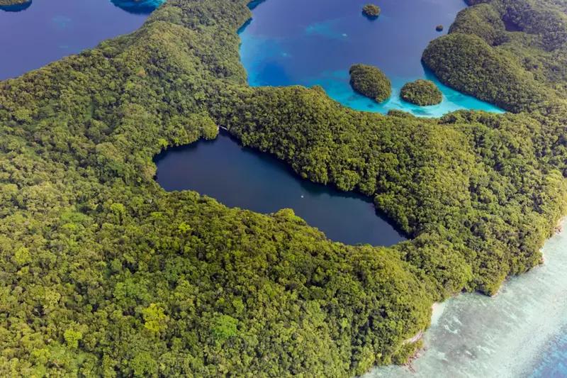 Озеро Медуз: мир уникальных созданий, непохожий ни на что другое