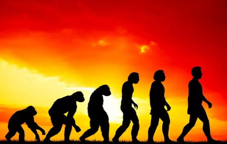 Сколько всего людей жило на Земле за всю историю человечества