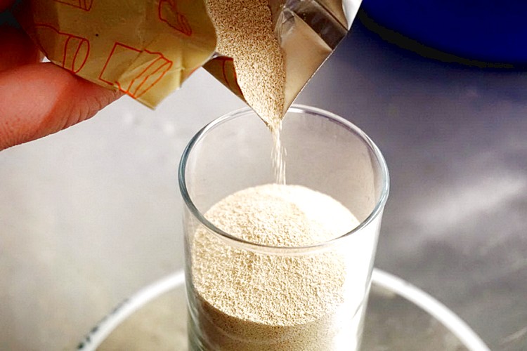 Спиртовые дрожжи: разновидности