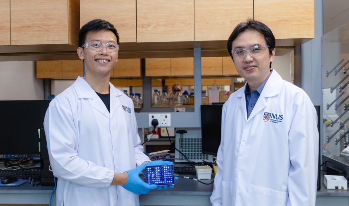 Ученые нашли способ сохранять данные в ДНК живых бактерий