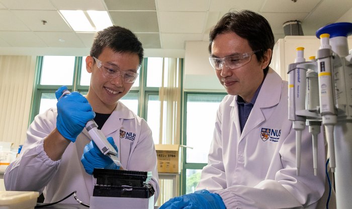 Ученые нашли способ сохранять данные в ДНК живых бактерий