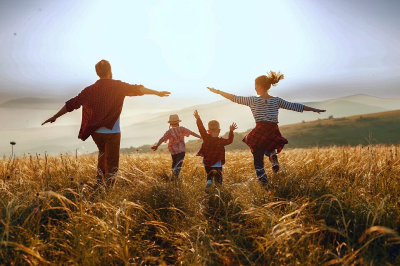 Дорога к счастью: Развенчание распространенных стратегий достижения счастья