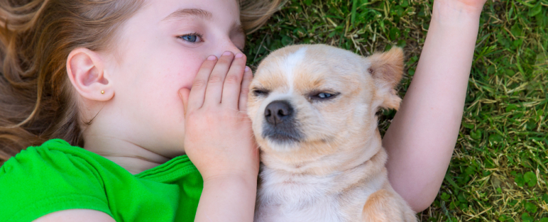 ИИ вскоре может помочь нам разговаривать с животными, но есть проблема
