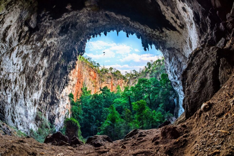 Исследователи обнаружили нетронутый древний лес в колоссальной карстовой воронке в Гуанси-Чжуанском автономном районе Китая