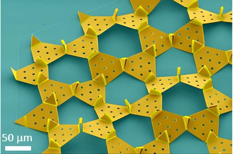 Как колибри может помочь созданию микромашин будущего