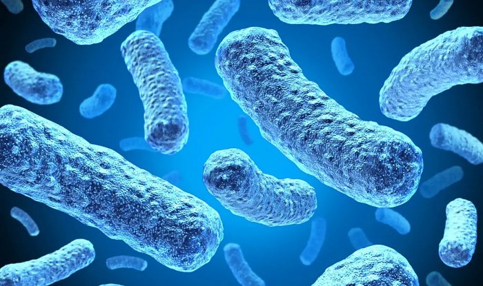 Питающиеся метаном бактерии помогут замедлить глобальное потепление