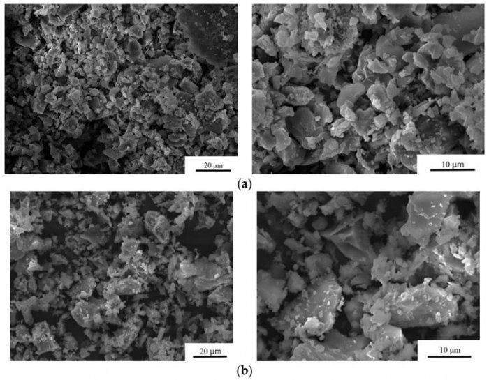 Российские ученые значительно улучшили состав «костного цемента»
