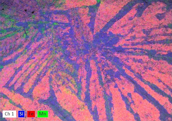 Уникального червя возрастом 500 млн лет назвали в честь Шай-Хулуда из вселенной Дюны