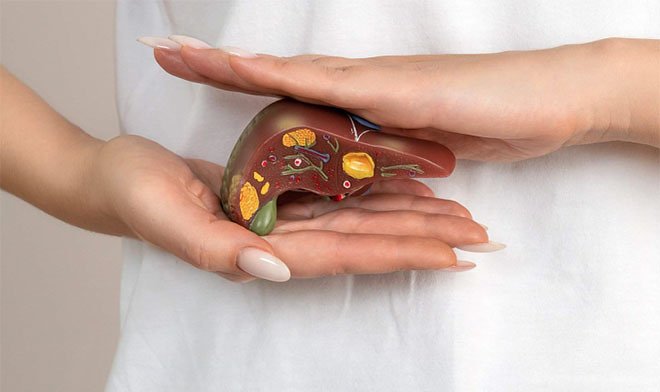 В РХТУ предложили лечить цирроз печени с помощью аэрогеля