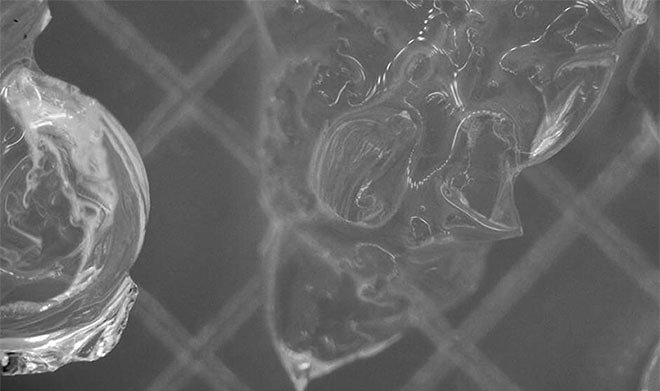 В РХТУ предложили лечить цирроз печени с помощью аэрогеля