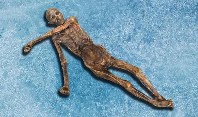 Знаменитый «Ледяной человек» Этци оказался совсем не таким, как его представляли раньше