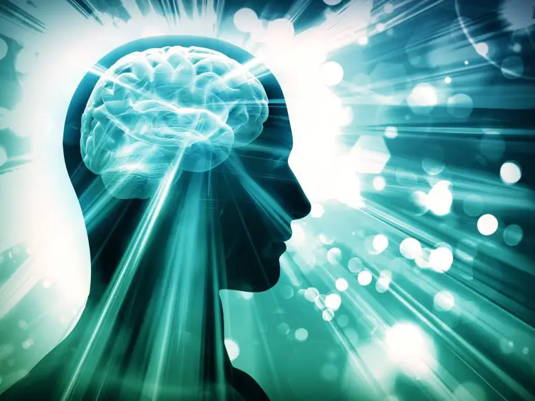 Исследование выявило когнитивные преимущества повседневных удовольствий