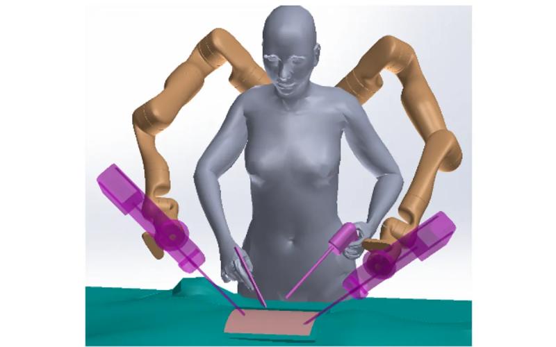 Обучение управлению дополнительной конечностью: Удивительно легкая задача, показало новое исследование