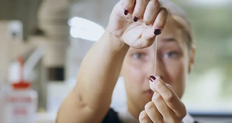 Прочнее стали и крепче кевлара: самый прочный паучий шелк в мире