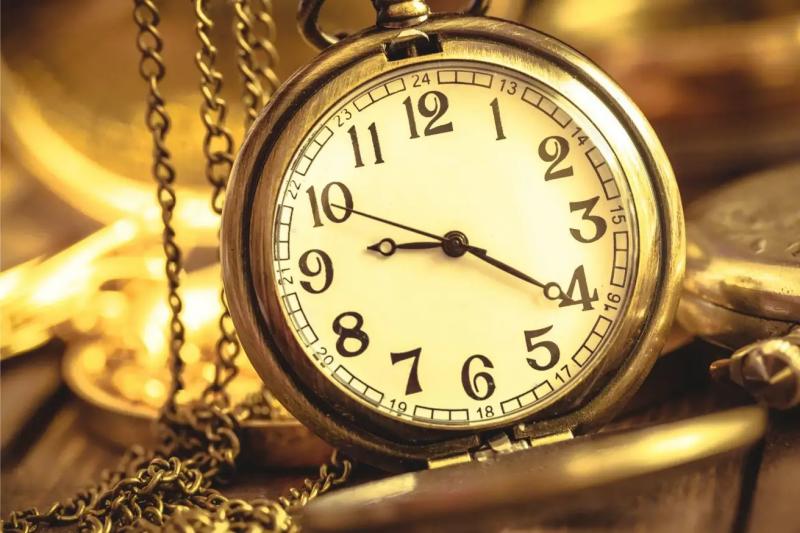 Раскрытие секретов старения: : Крошечное морское существо проливает свет на старение и исцеление