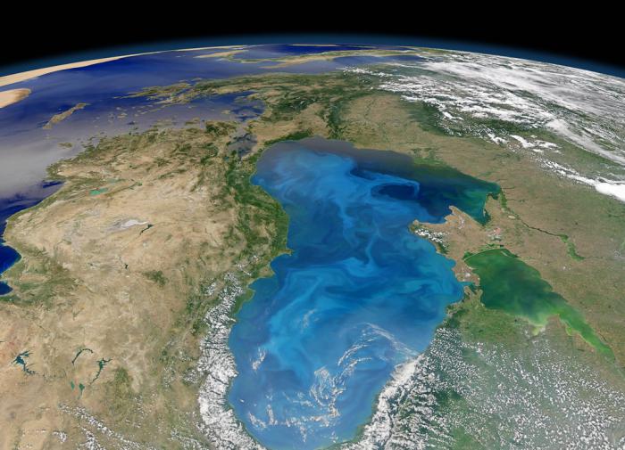 Тектоническая активность: ключ к возникновению жизни на Земле и других планетах Солнечной системы