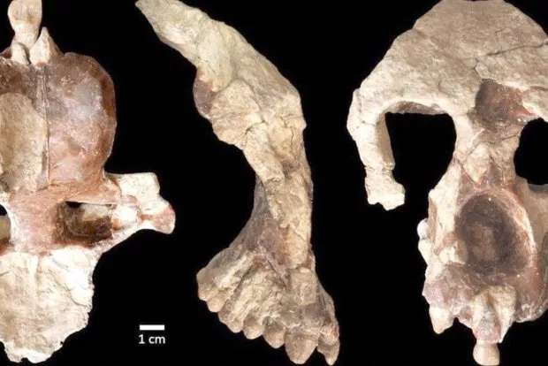 Теорию Дарвина придется пересмотреть