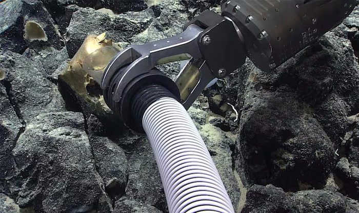 Ученые извлекли загадочное «золотое яйцо» из глубин океана — но при этом необратимо его повредили