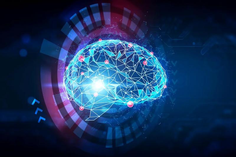 Ученые представили беспрецедентный «живой» взгляд на сложность мозга