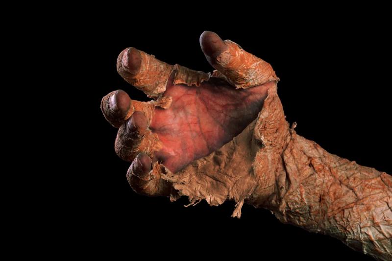 Загадочный случай быстрой мумификации озадачил ученых в Болгарии