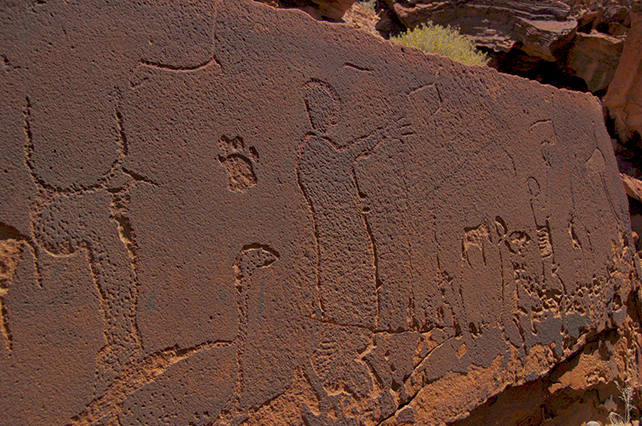 Точность доисторических рисунков настолько высока, что по ним можно определить пол, возраст и вид животных