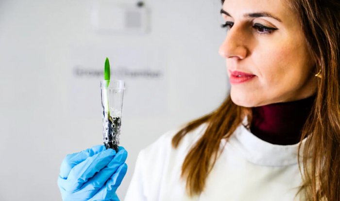 Электропроводящая почва eSoil увеличивает рост растений на 50%