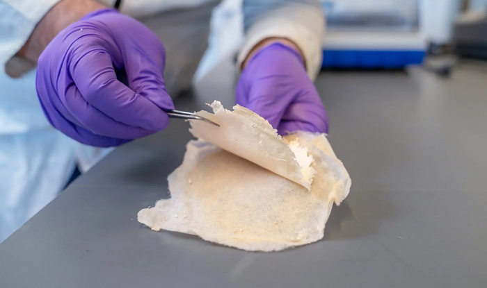 Хлопковый бинт нового типа убьет микробы без антибиотиков