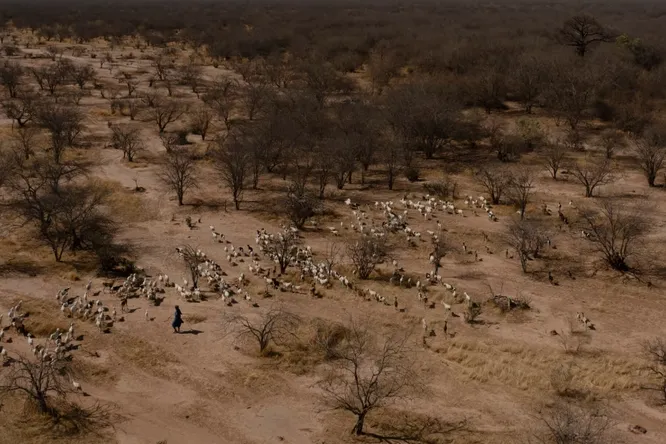 Легкий доступ к воде может погубить кочевые народы в Африке