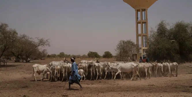 Легкий доступ к воде может погубить кочевые народы в Африке
