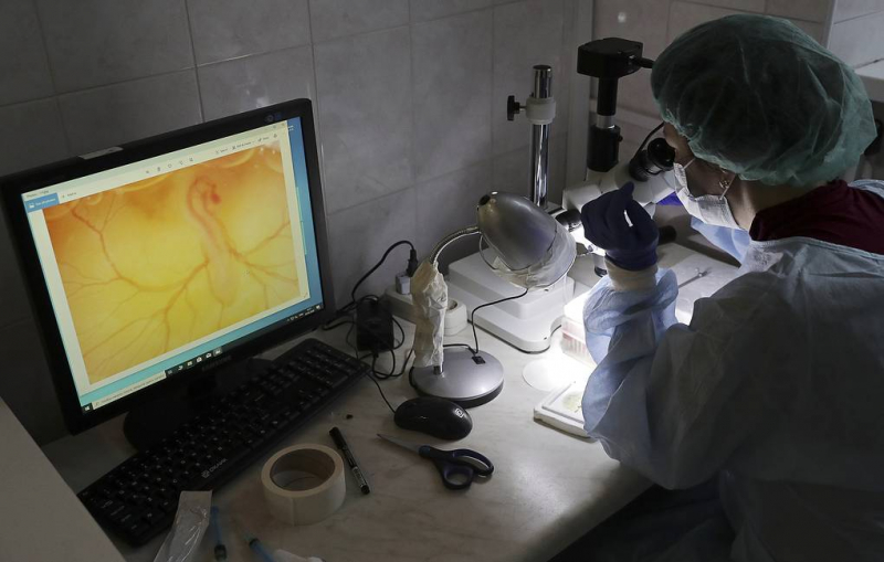 В России заявили о влиянии изменения климата на миграцию людей после ледникового периода