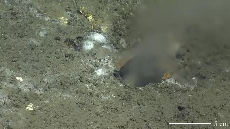 Загадочные дыры на дне Тихого океана: что это