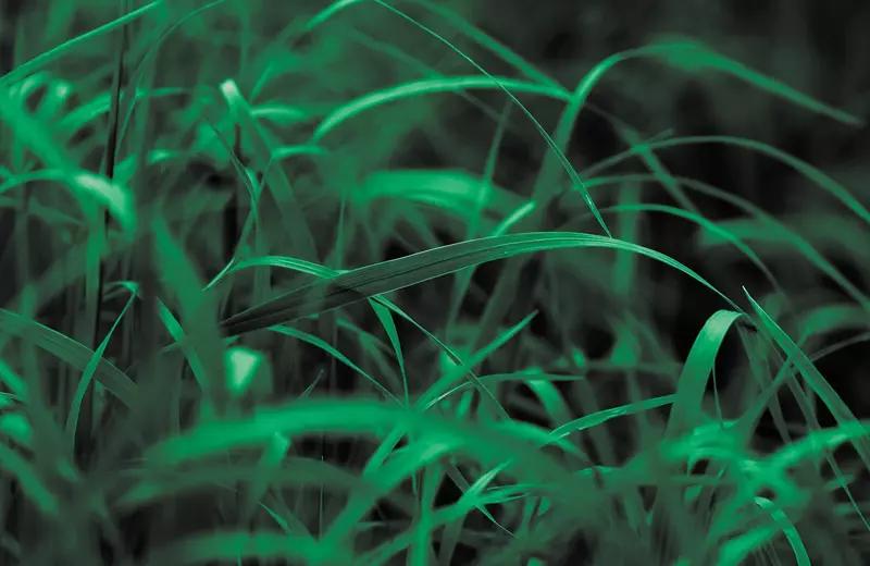 Что будет, если на месте Солнца образуется черная дыра: мы знаем ответ