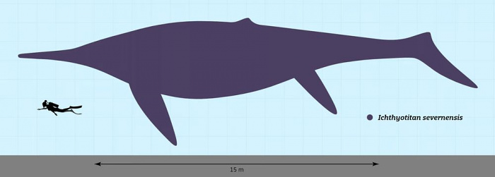 Самый большой морской динозавр мог потягаться размерами с синим китом