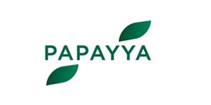 Оператор карт «Мир» начал регистрацию платежного бренда Papayya