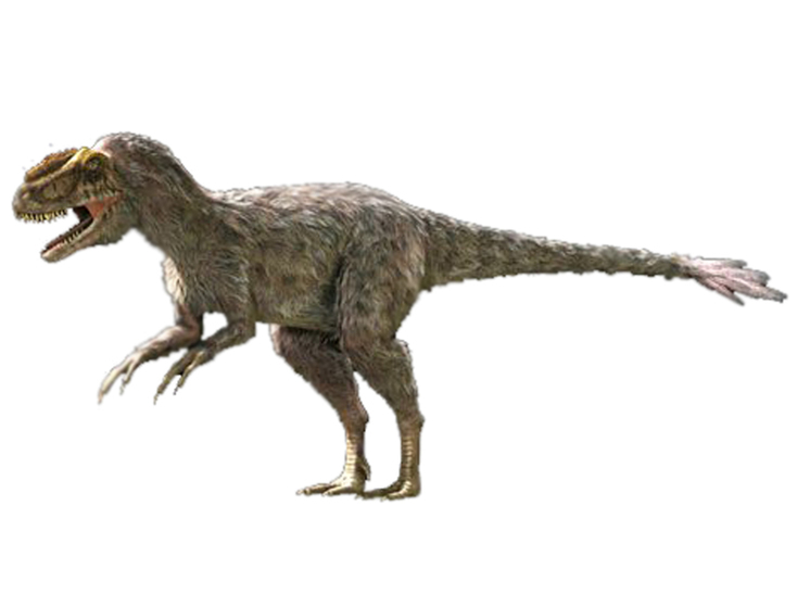 Самый крупный пернатый динозавр оказался двуногим девятиметровым хищником