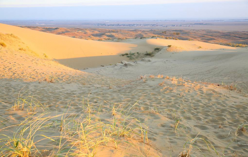 Создан материал, способный извлекать воду из воздуха пустынь