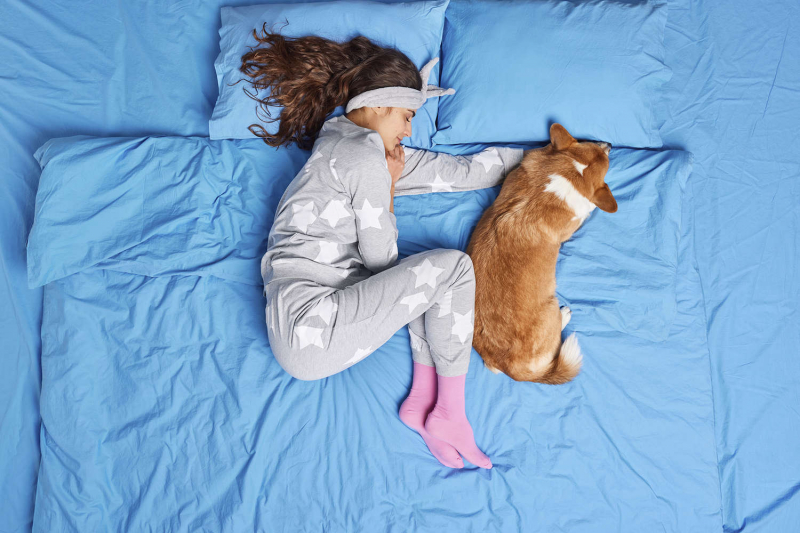 Ученые обнаружили процесс «перезагрузки» мозга во время сна