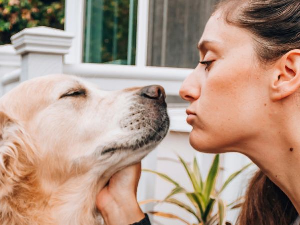 За налаживание настоящего разговора с животными ученым обещано 10 миллионов долларов