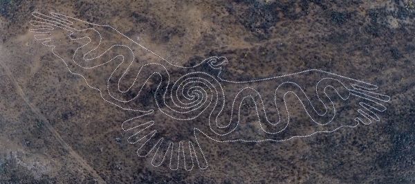 Древние петроглифы из пустыни Негев разрушаются грибками и лишайниками