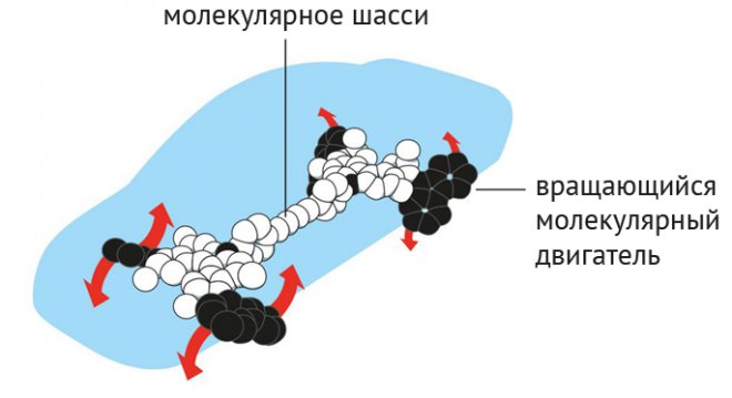 Нобелевская премия по химии присуждена за создание молекулярного двигателя