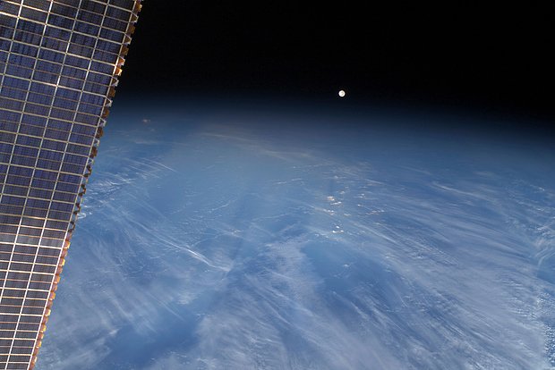 Предложен план по предотвращению массового вымирания