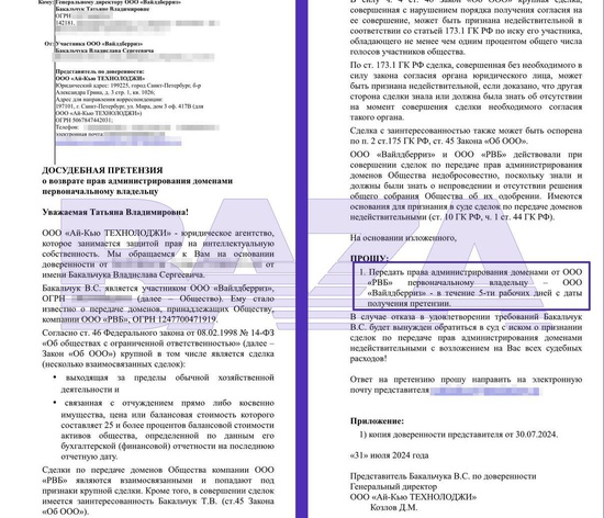 Владислав Бакальчук может начать суд за передачу домена Wildberries — СМИ