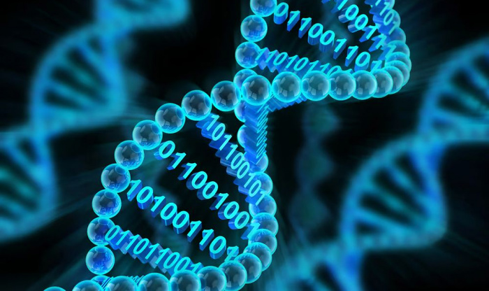 «Биокомпьютер» на базе ДНК научили решать судоку и хранить данные миллионы лет