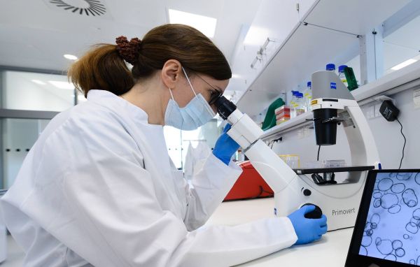 Изучен ДНК у живших 10 тыс. лет назад на юге Африки людей